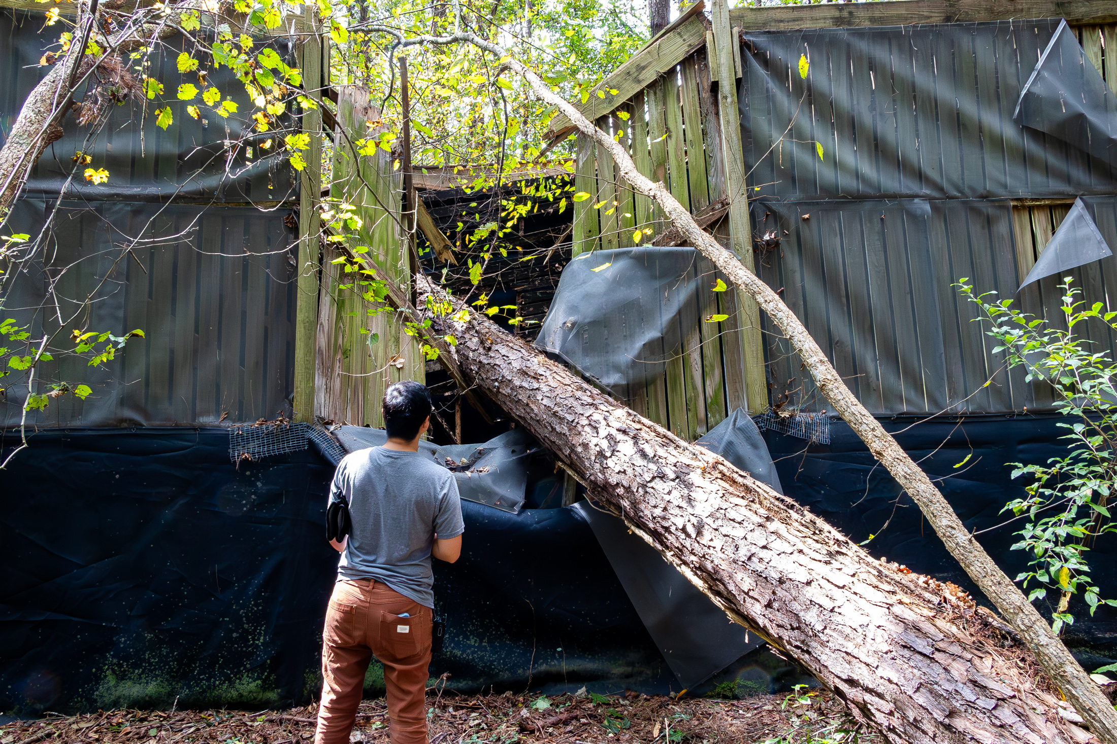 Featured image for “Repairs and Assistance After Hurricane Helene ”