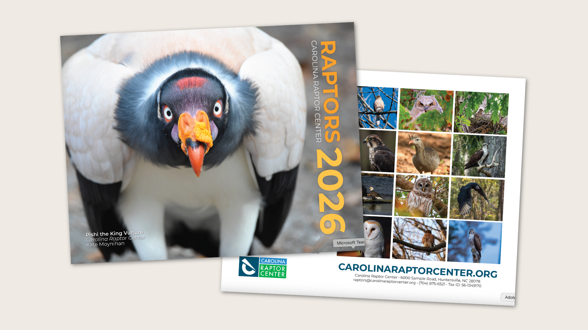 Featured image for “2027 Calendar Photography Contest”